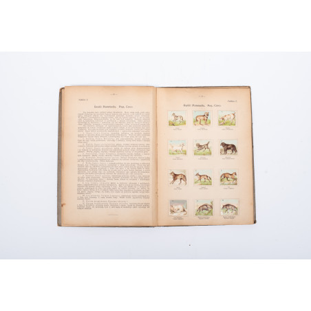 PODRĘCZNY atlas zoologiczny. Wierny obraz państwa zwierzęcego. A. Zwierzęta ssące, Warszawa ca  1920