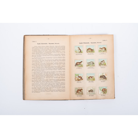 PODRĘCZNY atlas zoologiczny. Wierny obraz państwa zwierzęcego. A. Zwierzęta ssące, Warszawa ca  1920