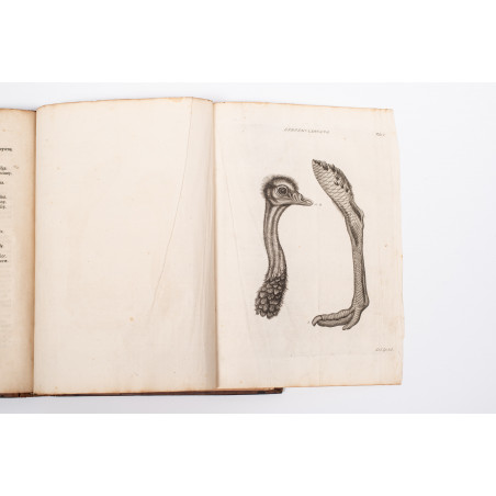KLEIN Jacob, Stemmata avium quadraginta tabulis aeineis ornata, Lipsiae 1759