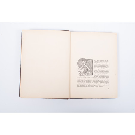 SIEDLECKI M., Jawa. Przyroda i sztuka, Warszawa-Kraków  1913