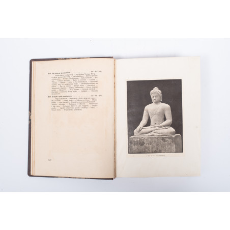 SIEDLECKI M., Jawa. Przyroda i sztuka, Warszawa-Kraków  1913