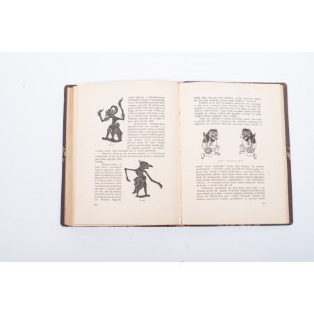 SIEDLECKI M., Jawa. Przyroda i sztuka, Warszawa-Kraków  1913