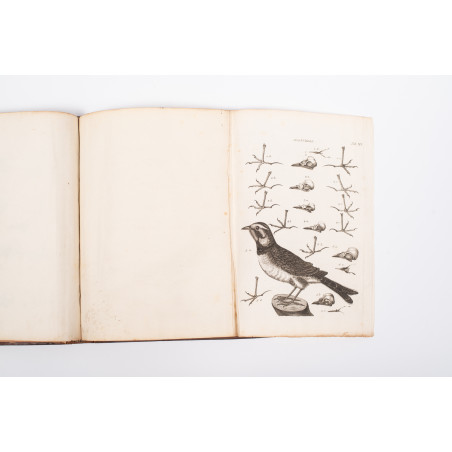 KLEIN Jacob, Stemmata avium quadraginta tabulis aeineis ornata, Lipsiae 1759