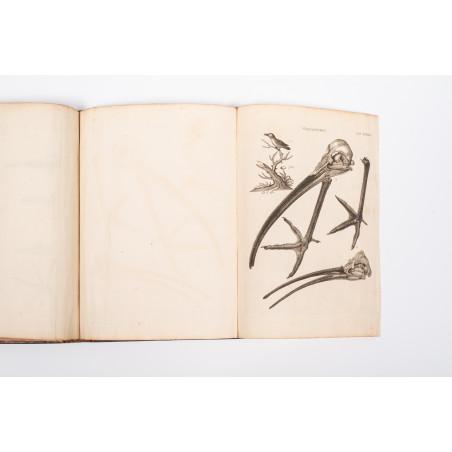 KLEIN Jacob, Stemmata avium quadraginta tabulis aeineis ornata, Lipsiae 1759