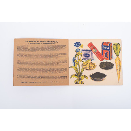 ATLASIK BOTANICZNY w opracowaniu metodycznem do użytku szkolnego, Skawina c.  [1920]