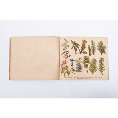 ATLASIK BOTANICZNY w opracowaniu metodycznem do użytku szkolnego, Skawina c.  [1920]