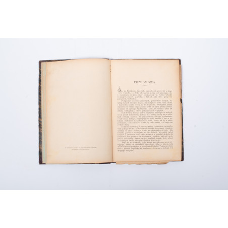 ROSTAFIŃSKI J., Botanika szkolna dla klas niższych, Kraków 1886