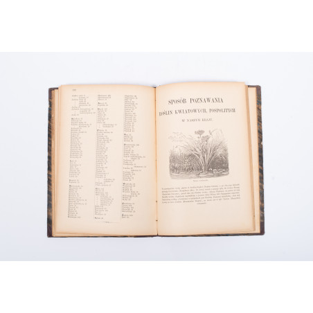 ROSTAFIŃSKI J., Botanika szkolna dla klas niższych, Kraków 1886
