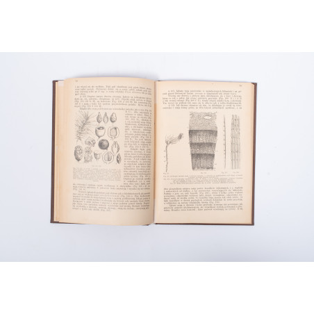 ROSTAFIŃSKI J., Botanika szkolna dla klas wyższych, Kraków 1886