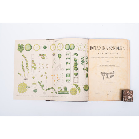 ROSTAFIŃSKI J., Botanika szkolna dla klas wyższych. Wydanie drugie niezmienione, Kraków 1886