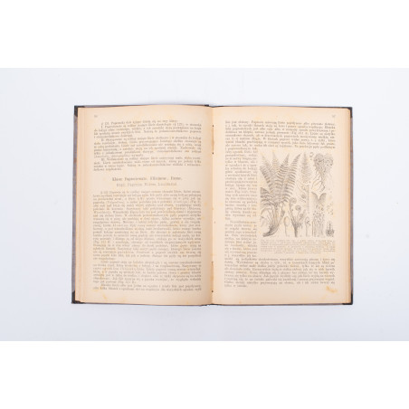 ROSTAFIŃSKI J., Botanika szkolna dla klas wyższych. Wydanie drugie niezmienione, Kraków 1886
