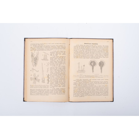 ROSTAFIŃSKI J., Botanika szkolna dla klas wyższych. Wydanie drugie niezmienione, Kraków 1886