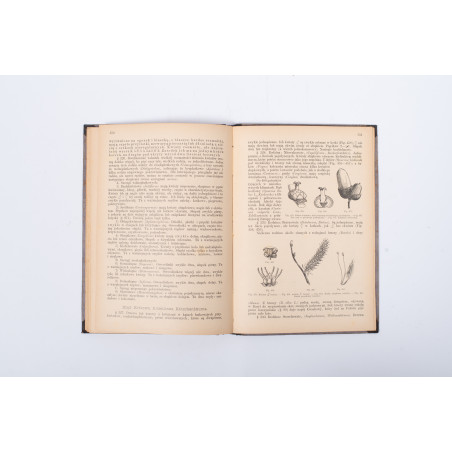 ROSTAFIŃSKI J., Botanika szkolna dla klas wyższych. Wydanie drugie niezmienione, Kraków 1886
