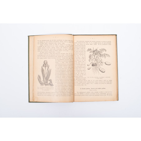 ROSTAFIŃSKI J., Botanika szkolna na klasy niższe z tablicą barwną, Kraków 1899