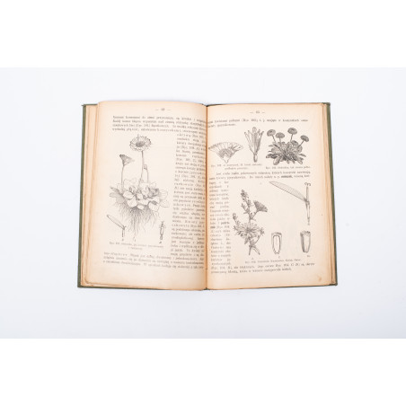 ROSTAFIŃSKI J., Botanika szkolna na klasy niższe z tablicą barwną, Kraków 1899