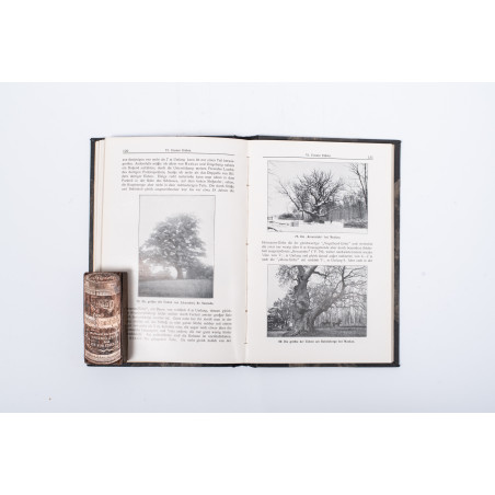 SCHUBE T., Aus Schlesiens Wäldern. Eine Einfürung in Botanik und Forstästhetik, Breslau  1912