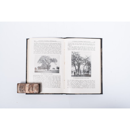 SCHUBE T., Aus Schlesiens Wäldern. Eine Einfürung in Botanik und Forstästhetik, Breslau  1912