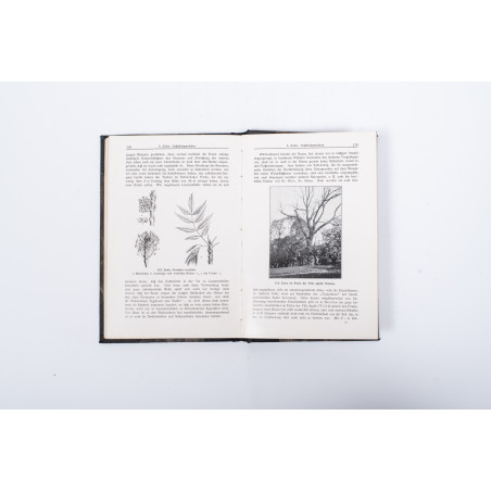 SCHUBE T., Aus Schlesiens Wäldern. Eine Einfürung in Botanik und Forstästhetik, Breslau  1912