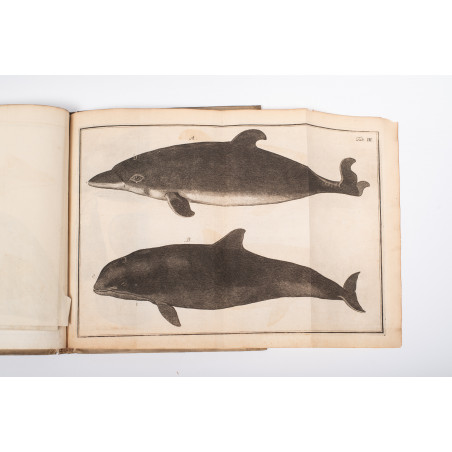 KLEIN J.Th., Historia piscium naturalis. Missus I–III, Gedani 1740-1742