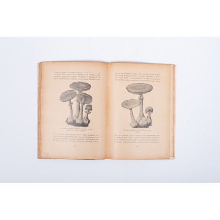 TEODOROWICZ F., Dziwy świata grzybowego. Z 50 rysunkami wg akwarel z natury art. malarzy, Warszawa 1928