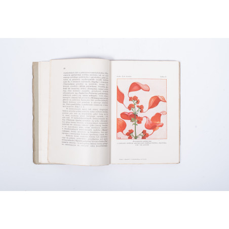 SZAFER W., Życie kwiatów (zarys biologji kwiatów), Lwów 1927