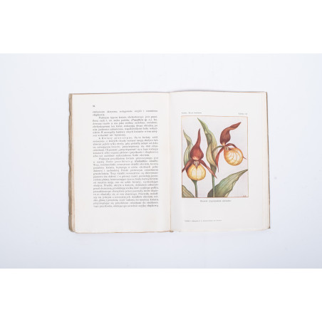 SZAFER W., Życie kwiatów (zarys biologji kwiatów), Lwów 1927