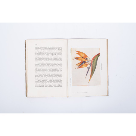 SZAFER W., Życie kwiatów (zarys biologji kwiatów), Lwów 1927