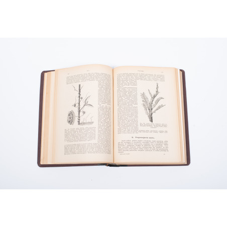 STRASBURGER E. et al., Podręcznik botaniki dla szkół wyższych, Warszawa  1915