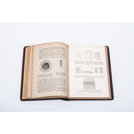 STRASBURGER E. et al., Podręcznik botaniki dla szkół wyższych, Warszawa  1915