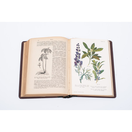 STRASBURGER E. et al., Podręcznik botaniki dla szkół wyższych, Warszawa  1915