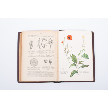 STRASBURGER E. et al., Podręcznik botaniki dla szkół wyższych, Warszawa  1915