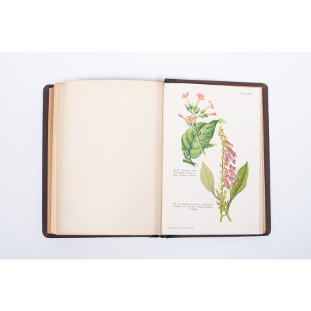 STRASBURGER E. et al., Podręcznik botaniki dla szkół wyższych, Warszawa  1915