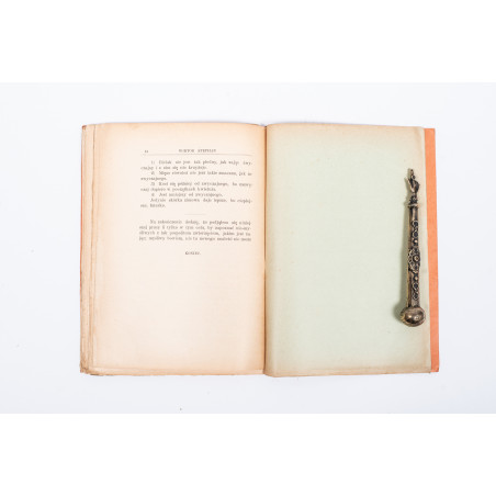 STEPHAN W., Zając pospolity (Lepus timidus), Warszawa 1905