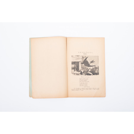 RYBOWSKI M., Jaskółki. Obrazek z historyi naturalnej. Osobne odbicie z 'Opiekuna zwierząt', Kraków 1890