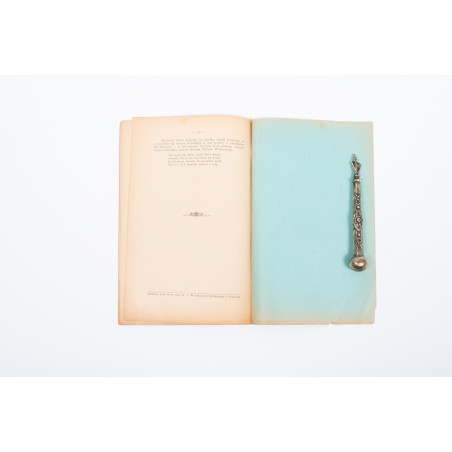 RYBOWSKI M., Jaskółki. Obrazek z historyi naturalnej. Osobne odbicie z 'Opiekuna zwierząt', Kraków 1890