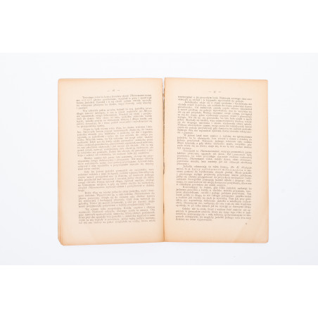 RYBOWSKI M., Jaskółki. Obrazek z historyi naturalnej. Osobne odbicie z 'Opiekuna zwierząt', Kraków 1890