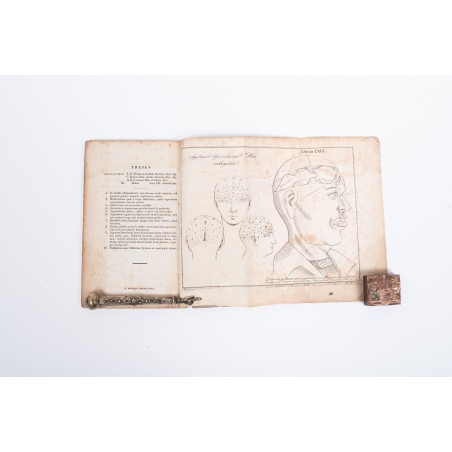 BAŁWAŃSKI A., De animae organis seu organologia, Cracoviae  1835