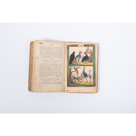 [BUFFON G.-L.L.], Wyciąg z dzieł Biuffona czyli mała historya naturalna, Wrocław 1836