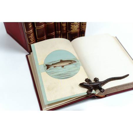 OKÓLNIK RYBACKI. ORGAN KRAJOWEGO TOWARZYSTWA RYBACKIEGO W KRAKOWIE [ichthyology, flyfishing, river protection], R.  1879-1927
