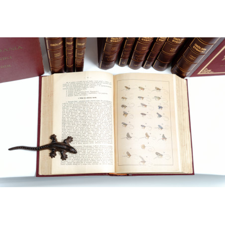 OKÓLNIK RYBACKI. ORGAN KRAJOWEGO TOWARZYSTWA RYBACKIEGO W KRAKOWIE [ichthyology, flyfishing, river protection], R.  1879-1927