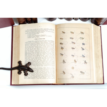 OKÓLNIK RYBACKI. ORGAN KRAJOWEGO TOWARZYSTWA RYBACKIEGO W KRAKOWIE [ichthyology, flyfishing, river protection], R.  1879-1927