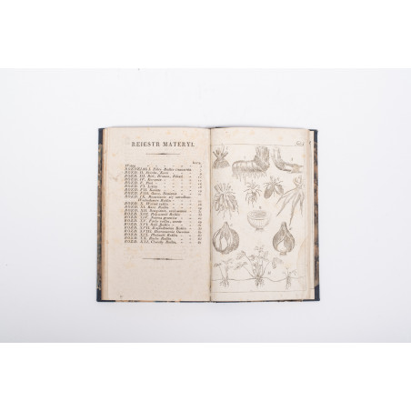 JUNDZIŁŁ S.B., Początki botaniki. Wydanie drugie, Wilno 1818