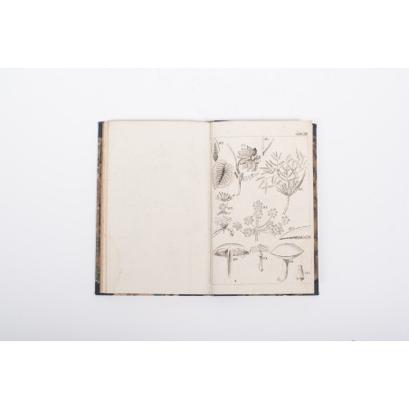 JUNDZIŁŁ S.B., Początki botaniki. Wydanie drugie, Wilno 1818