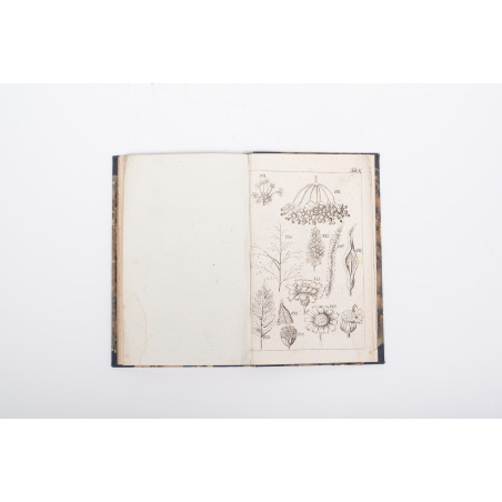 JUNDZIŁŁ S.B., Początki botaniki. Wydanie drugie, Wilno 1818