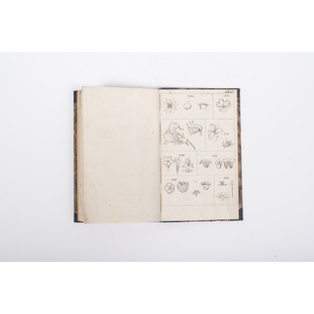 JUNDZIŁŁ S.B., Początki botaniki. Wydanie drugie, Wilno 1818