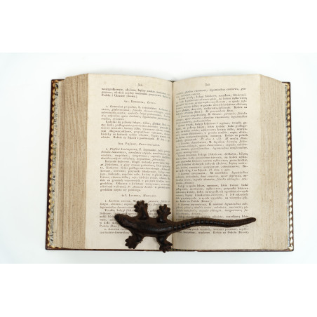 JUNDZIŁŁ J., Opis roślin na Litwie, na Wołyniu, Podolu i Ukrainie dziko rosnących, Wilno  1830