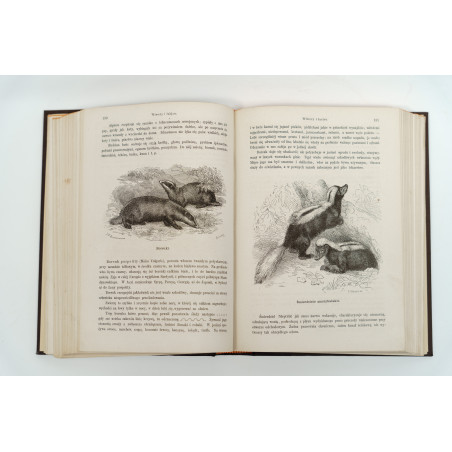 NIEWIADOMSKI W., Życie i obyczaje zwierząt według Brehma i innych najnowszych źródeł, Warszawa 1873