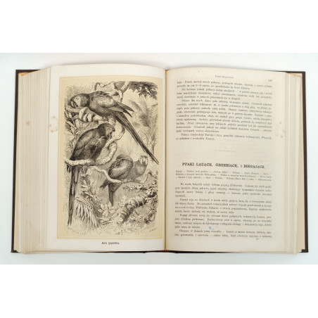 NIEWIADOMSKI W., Życie i obyczaje zwierząt według Brehma i innych najnowszych źródeł, Warszawa 1873
