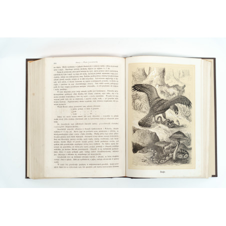 NIEWIADOMSKI W., Życie i obyczaje zwierząt według Brehma i innych najnowszych źródeł, Warszawa 1873