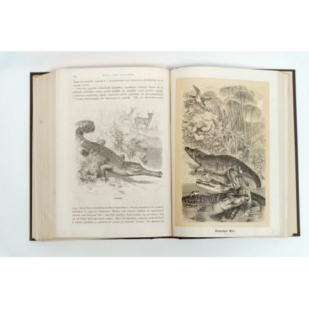 NIEWIADOMSKI W., Życie i obyczaje zwierząt według Brehma i innych najnowszych źródeł, Warszawa 1873